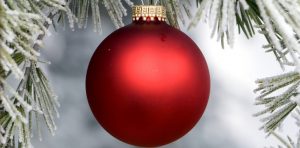 red ornament hanging on tree